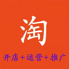 新手淘寶開(kāi)店從入門到運(yùn)營(yíng)推廣視頻教程