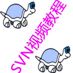 SVN視頻教程下載