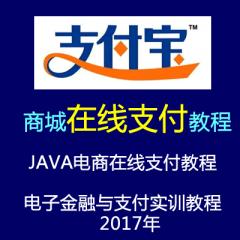 JAVA電商在線支付視頻教程（電子金融與支付實訓(xùn)教程 ）