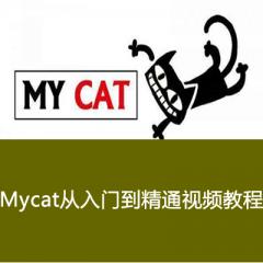 Mycat從入門到精通視頻教程下載
