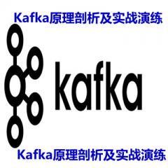 Kafka原理剖析及實(shí)戰(zhàn)演練視頻教程下載