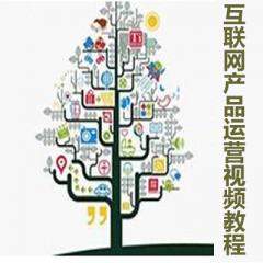 P1P2P3互聯(lián)網(wǎng)產(chǎn)品運(yùn)營(yíng)視頻教程下載