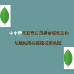 中小型互聯(lián)網(wǎng)公司后臺服務(wù)架構(gòu)與運(yùn)維架構(gòu)搭建視頻教程下載