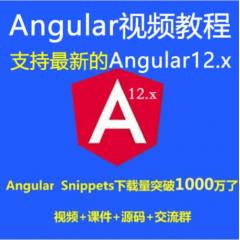 Angular教程_Angular+Antd入門實戰(zhàn)視頻教程-支持最新的Angular12.x（大地）